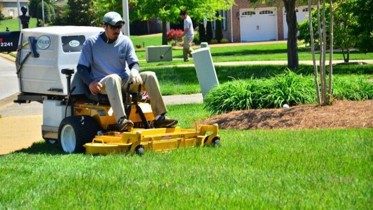 Tired of mowing your lawn? This phone app may help